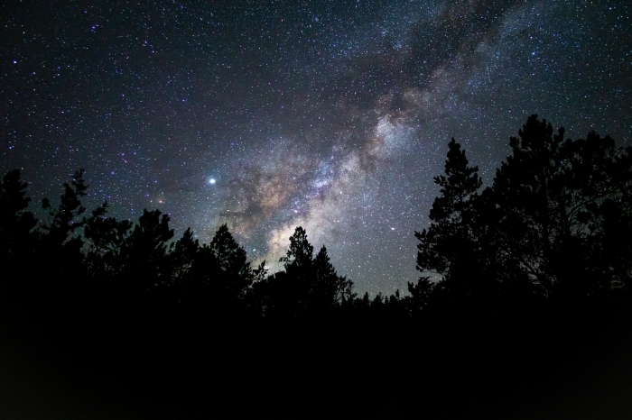 image fond d écran pour pc, idée de wallpaper pour ordinateur avec paysage naturel silhouettes d'arbres et ciel nocturne 
