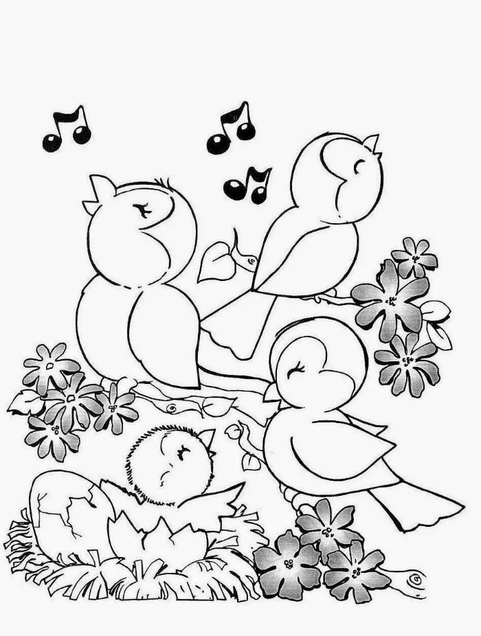 oiseaux dessin animaux à colorier, petits oiseaux chantant sur une branche fleurie, dessin printemps à imprimer