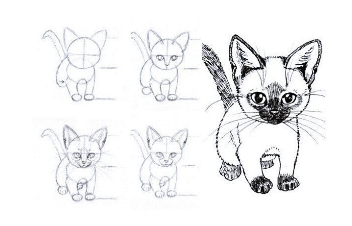 étapes à suivre pour faire un corps avec patte de chat dessin, tutoriel facile pour un dessin au crayon de petit chat