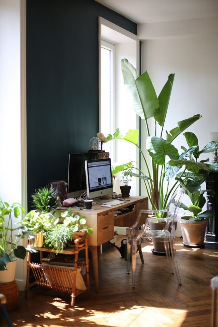 design bureau à maison de style urbain jungle avec plantes vertes et plantes grasses d'intérieur, déco petit bureau dans le salon