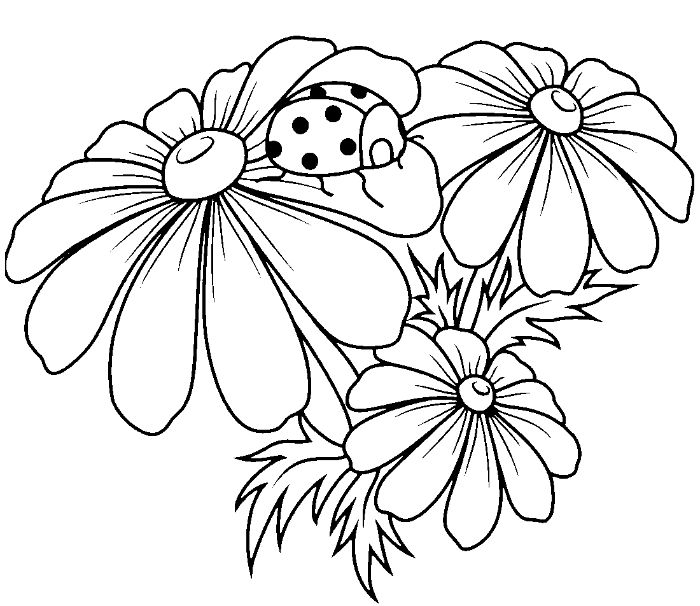 dessin fleur simple avec coccinelle perchée sur une pétale, coloriage a imprimer enfant bas age