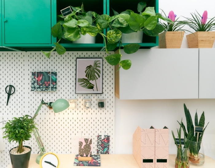 plantes vertes d'intérieur photos, décoration espace de travail de style jungalow avec plantes vertes et meubles bois
