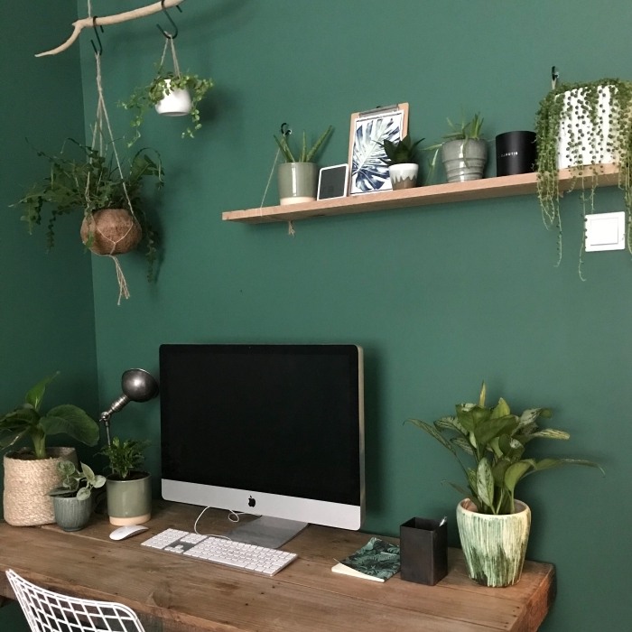 quelle peinture tendance pour un salon vert, idée de plante grasse retombante pour décorer son coin de travail maison