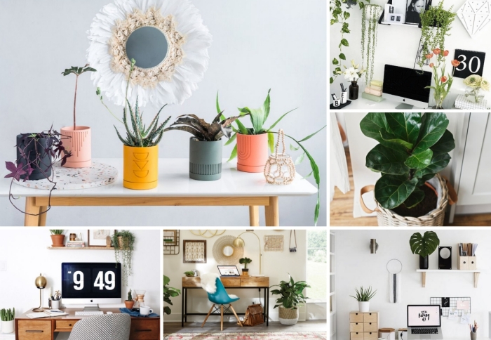 quelle plante pour bureau choisir pour son home office, décoration bureau à domicile avec meubles en bois et verdure
