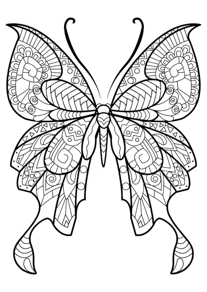 Dessin a colorier comment dessiner un papillon, simple dessin animal