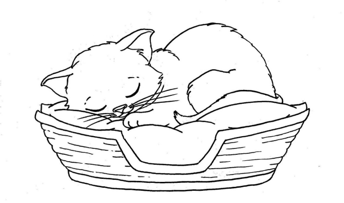 idée comment faire un joli dessin facile chat, modèle de dessin en blanc et noir avec chat endormi sur un lit en panier tressé