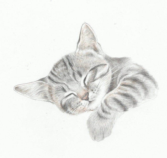 Chaton Réaliste En Peluche Avec Son - Jouet Interactif Qui Miaule, Sur Coussin Intégré, Décoration Maison Ou Bureau