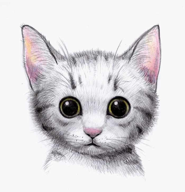 1001 Exemples Et Tutoriels Comment Dessiner Un Chat