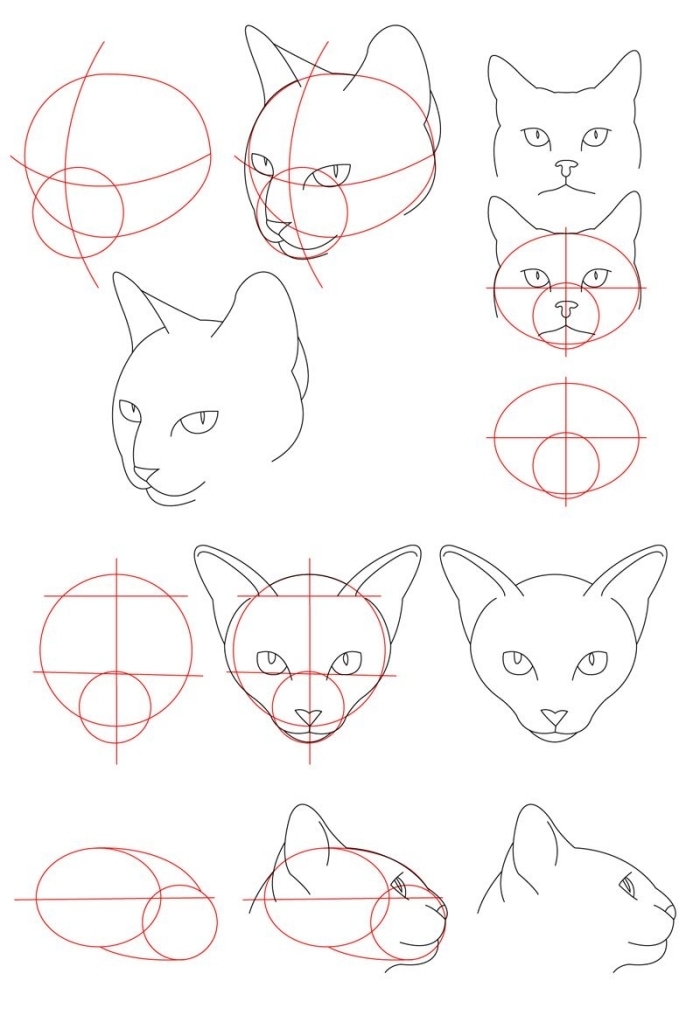 1001 Exemples Et Tutoriels Comment Dessiner Un Chat