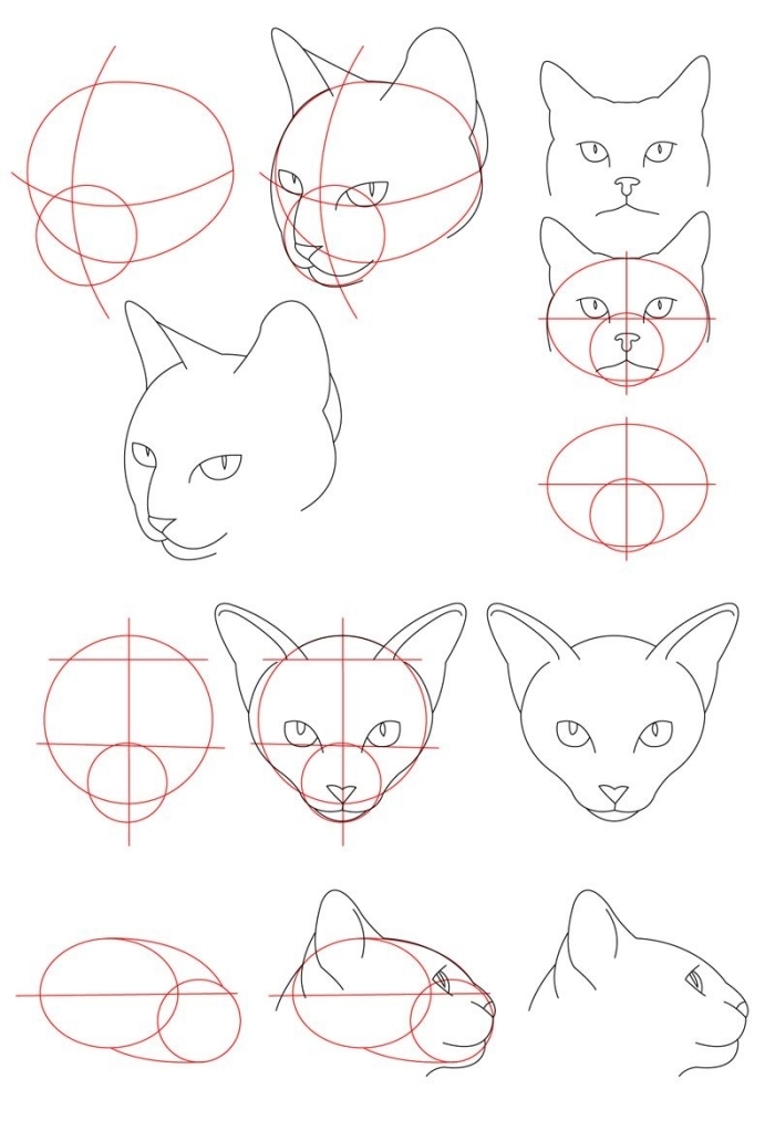 tutoriel pour apprendre à faire un dessin de tête de chat sans fourrure, idée de dessin de chat facile pour débutants