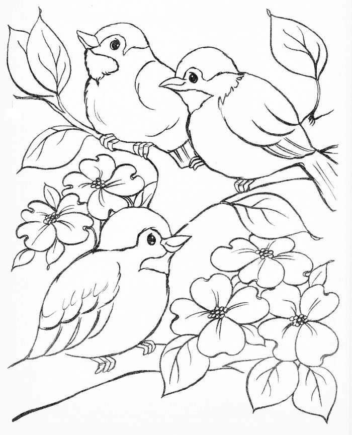 idee de branche fleurie avec des oiseaux perchés dessus, paysage de printemps à imprimer et colorier simple