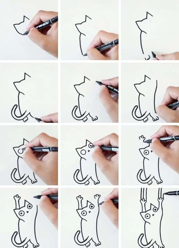 tuto au crayon blanc noir amusant animal compagnie traces pattes