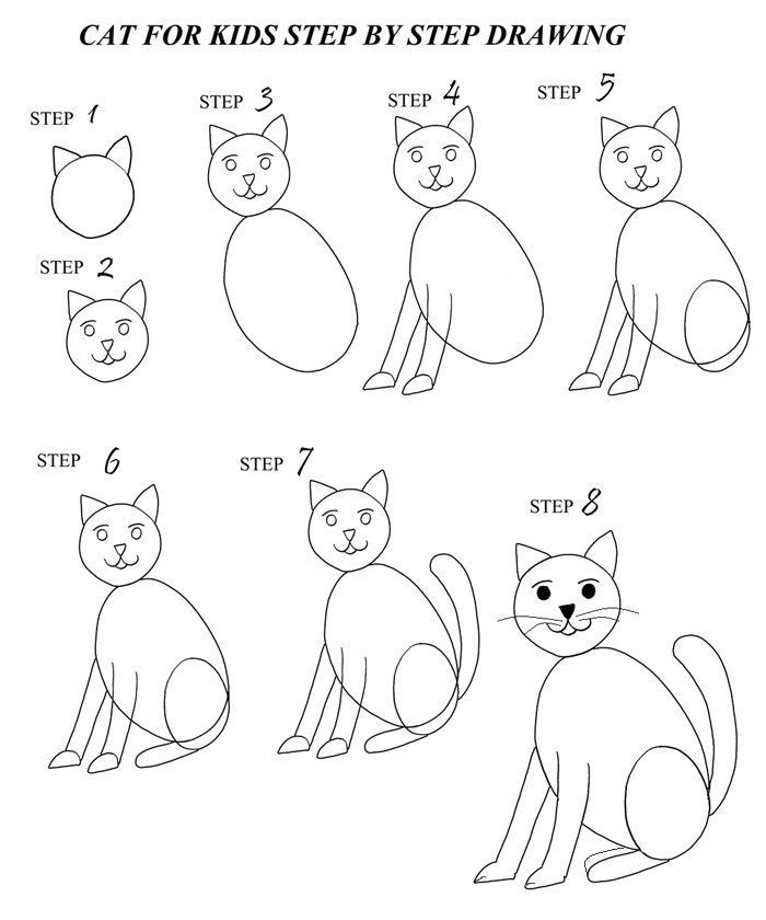 étapes à suivre pour faire un chat assis au crayon avec pattes assis, exemple de dessin de chat facile en étapes simples