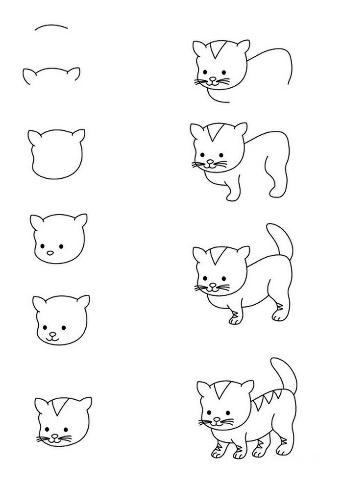 modèle de dessin de chat facile a reproduire pour enfant, dessin pas à pas de petit chat mignon avec pattes avant et derrière