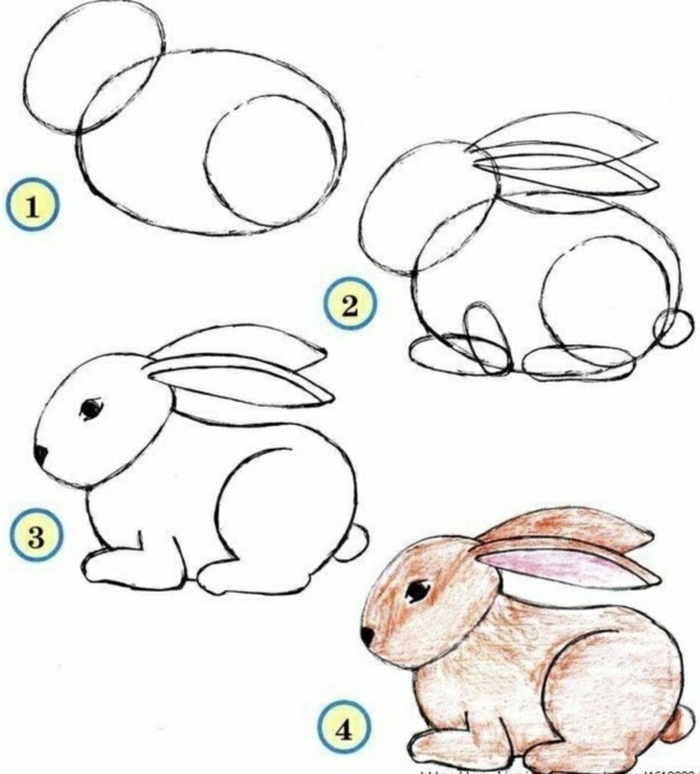 Lapin dessin crayon, les plus beaux dessins restent avec simples lignes, comment dessiner un lapin pas a pas