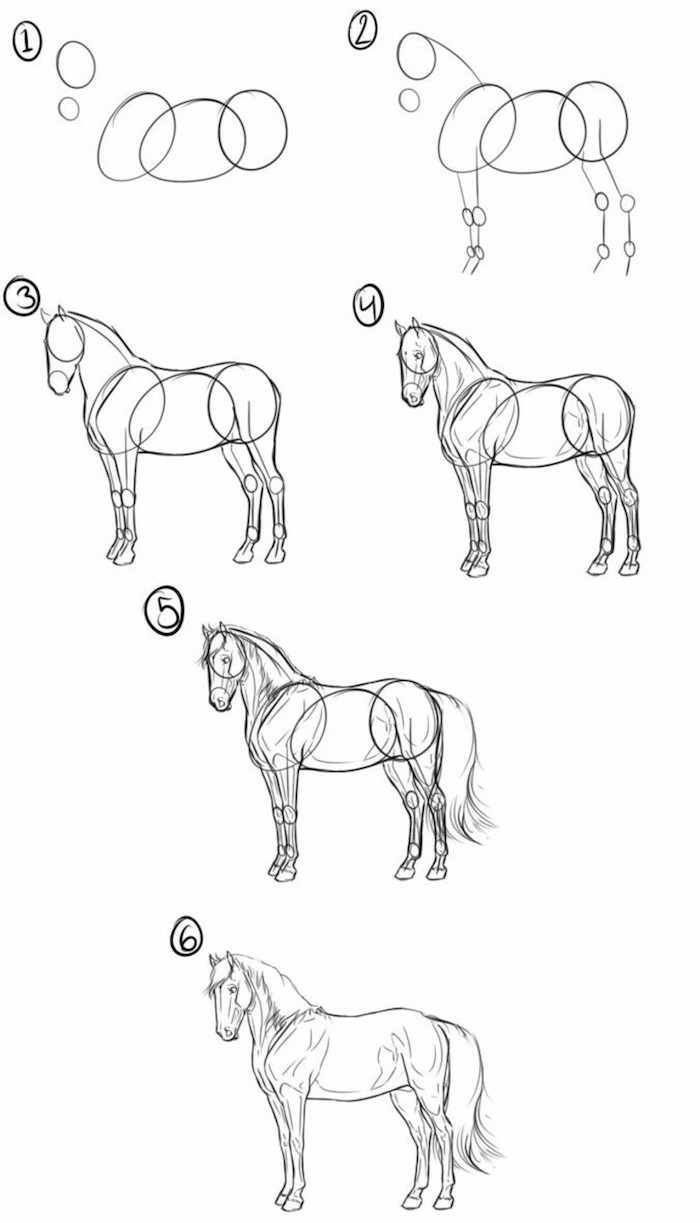 Cheval dessin simple, 6 etapes pour dessiner un beau cheval, dessin crayon, les plus beaux dessins restent avec simples lignes