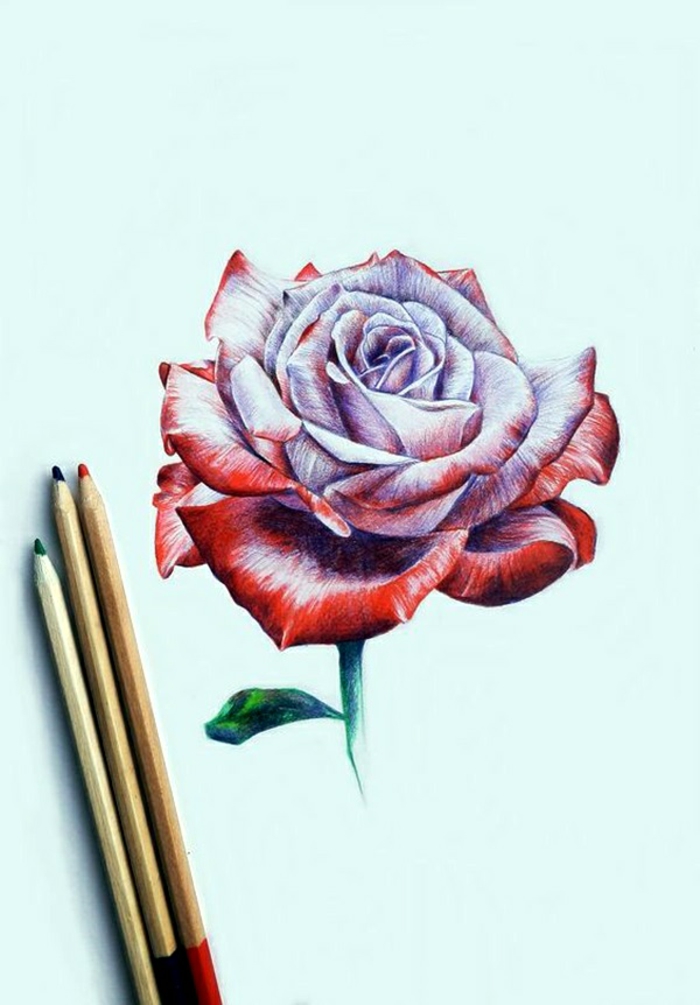 Rose en perspective avec feuilles rouges-violets photo de dessin crayon, dessin noir et blanc art a reproduire