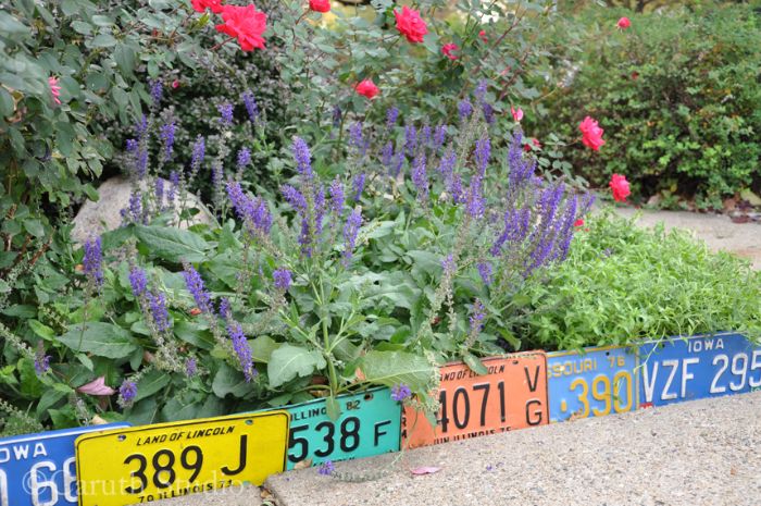 recyclage plaques d immatriculation colorées pur créer une bordure jardin creatif et separer une parterre de fleurs