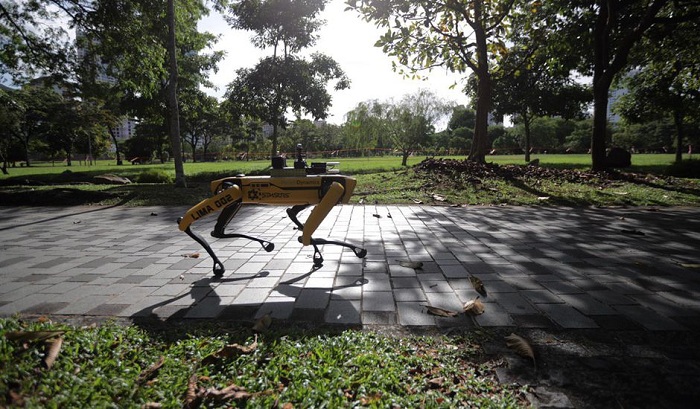 Singapour charge le robot Spot de faire respecter les régles de distanciation sociale relatives au coronavirus dans un de ses parcs