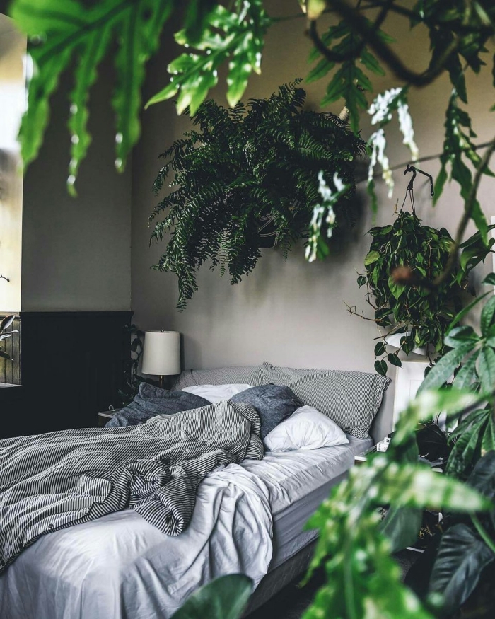 idée déco chambre parentale d'esprit nature en gris et vert, aménagement petite pièce adulte aux murs gris clair avec plantes