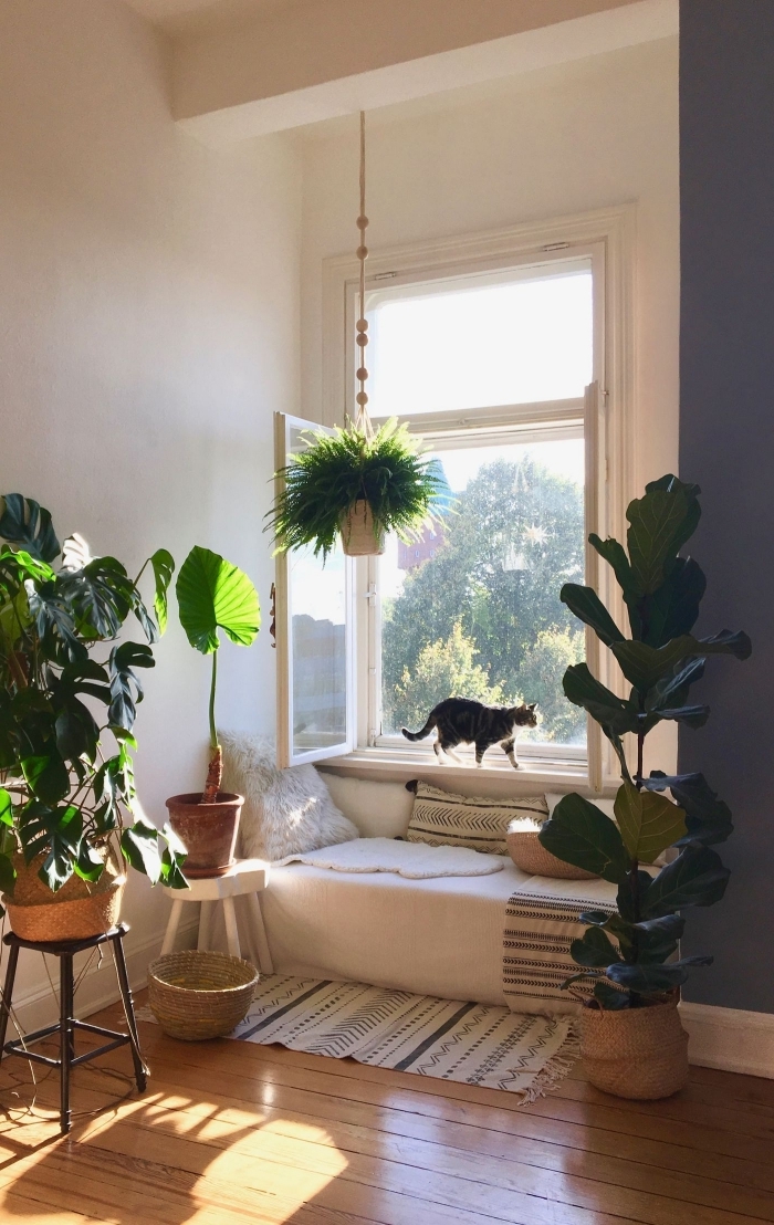 design coin de repos ou de lecture sous fenêtre cocooning, décoration intérieure avec plantes vertes dans cache pot rotin
