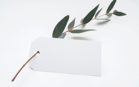 accrochage étiquettage produits cadeaux diy message amour soin étiquette papier blanc cartonné branches feuilles vertes