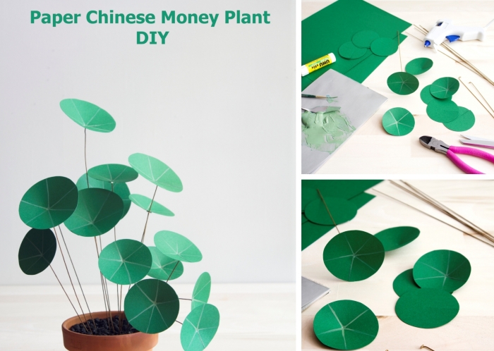 faire une plante en papier originale, activité manuelle printemps facile et rapide, diy plante à monnaie chinoise en papier vert