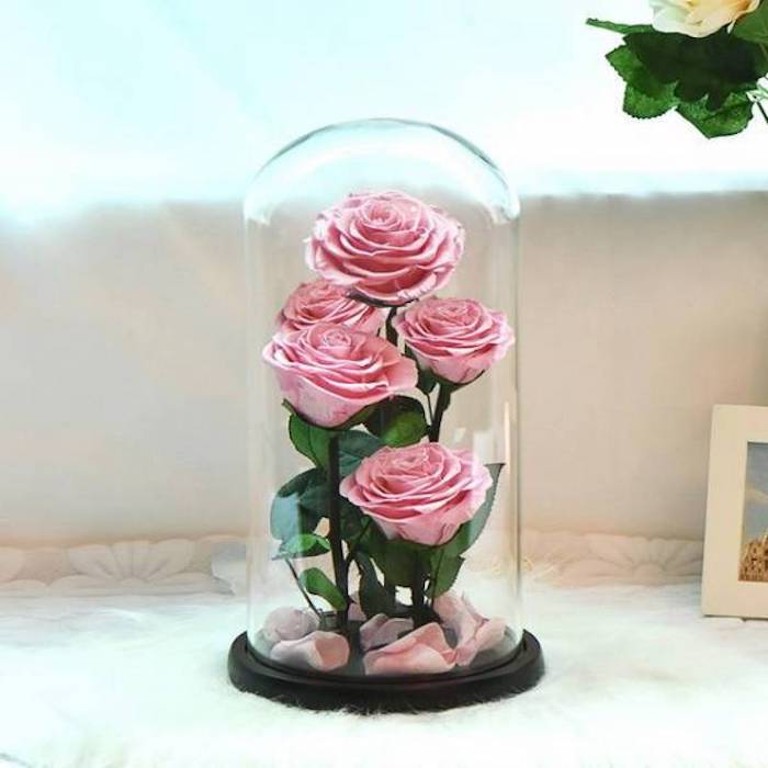 bouquet de roses sous cloche avec des pétales roses, idee cadeau rose eternelles sous cloche