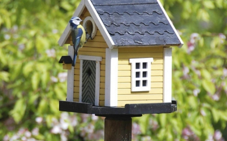 bricolage printemps activité manuelle avec bois mangeoire oiseaux sur pied toit gris façade maison panneaux jaunes
