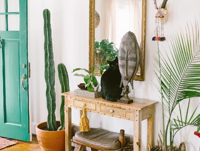 cactus palmier d intérieur miroir cadre vintage doré cornes décoratives suspension bohème quelle couleur pour les portes avec des murs blancs