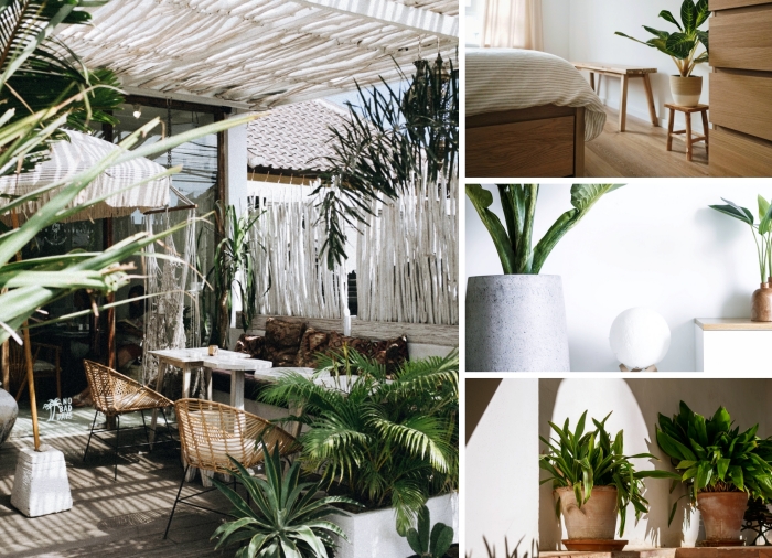 décoration avec plante verte d intérieur design chambre à coucher minimaliste meubles bois pot fleur terre cuite chaise rotin jardin