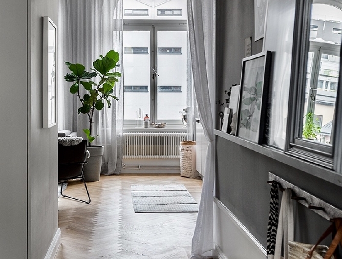 décoration entrée appartement style parisien rideaux longs blancs revêtement de sol parquet bois plante verte cadres miroir tapis franges