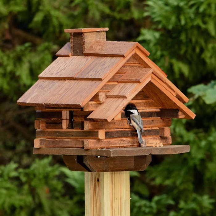 exemple comment construire une jolie maison pour oiseaux en bois, modèle de mangeoire pour petits oiseaux sur pied