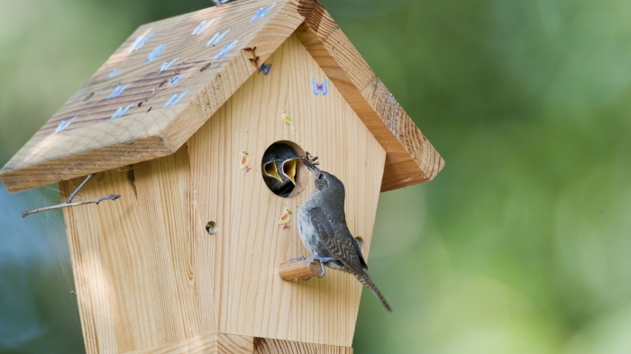 mini cabane pour oiseaux, construction de mangeoire pour petits oiseaux avec planches de bois en forme de maison