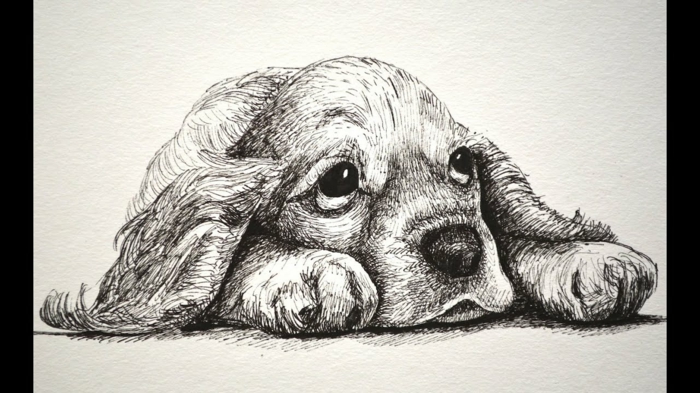 Chien triste dessin triste facile, apprendre à dessiner la tristesse sans larmes petit chien adorable 