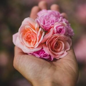 Offrir une rose éternelle en geste d'amour inconditionnel - tout savoir sur cette magnifique idée de cadeau pour femme