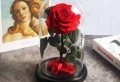 Offrir une rose éternelle en geste d’amour inconditionnel – tout savoir sur cette magnifique idée de cadeau pour femme