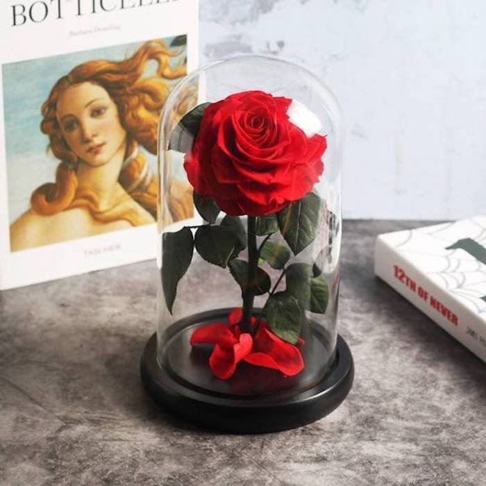 exemple de rose eternelle sous cloche de couleur rouge, idee cadeau saint valentin femme