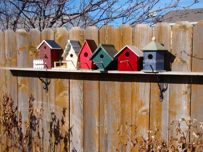 étagère bois décoration extérieure murale cabane oiseaux modèles diy construction maisons pour oiseaux peinture pour bois