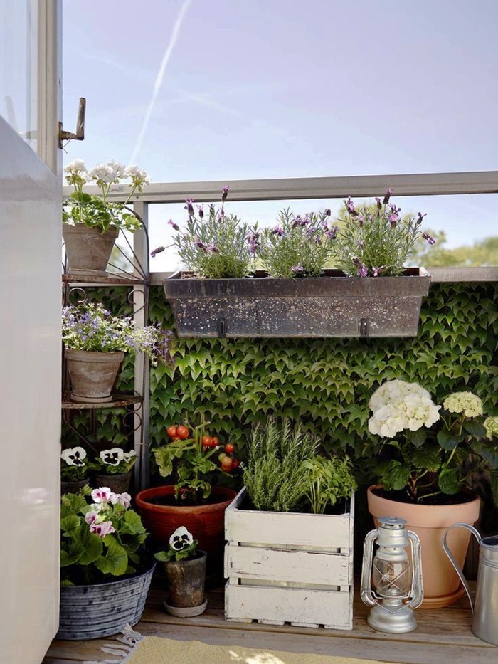 brise vue pour balcon décoration extérieure pour appartement petit balcon terrasse urbaine mur végétal plantes grimpantes