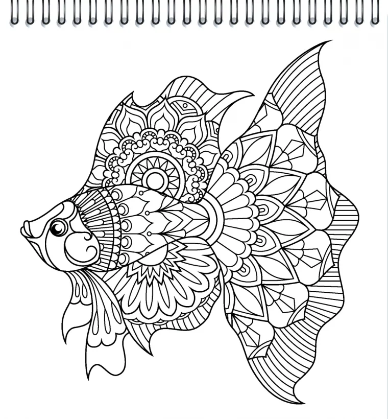 coloriage d ete mandala art terapie dessin poisson