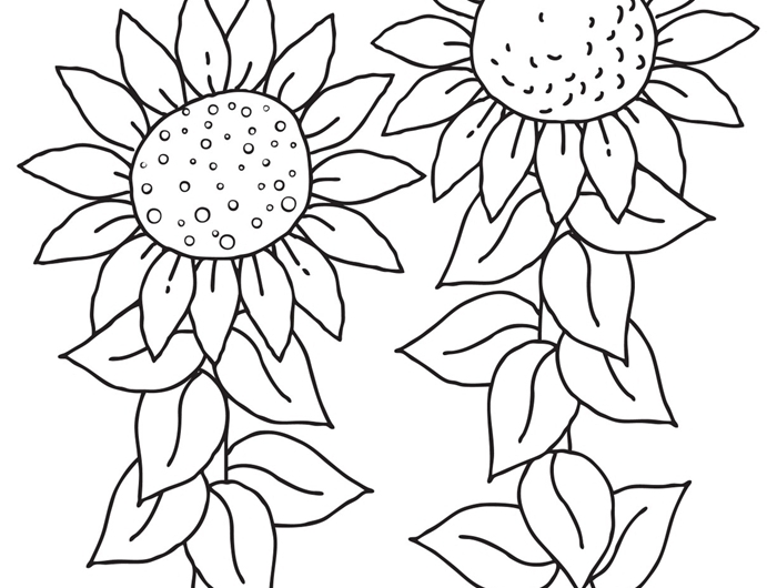 coloriage été maternelle art dessin blanc et noir fleur tournesol feuilles activité maternelle image nature vacances champs