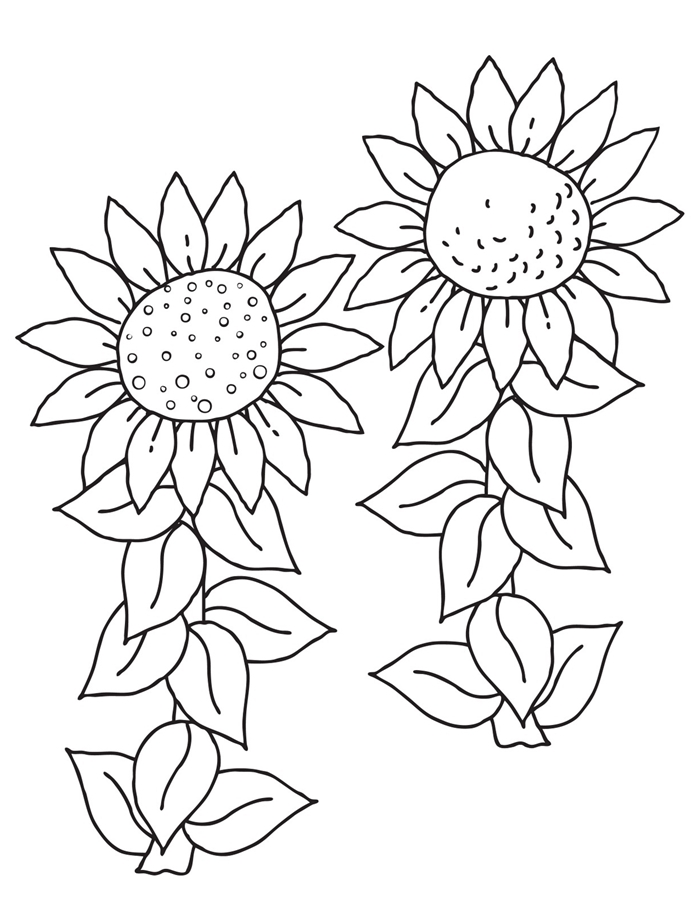 coloriage été maternelle art dessin blanc et noir fleur tournesol feuilles activité maternelle image nature vacances champs