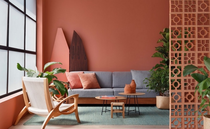 couleur de peinture pour salon moderne chaise bois plantes vertes d intérieur canapé gris table double plateau basse bois coussins couleur rose