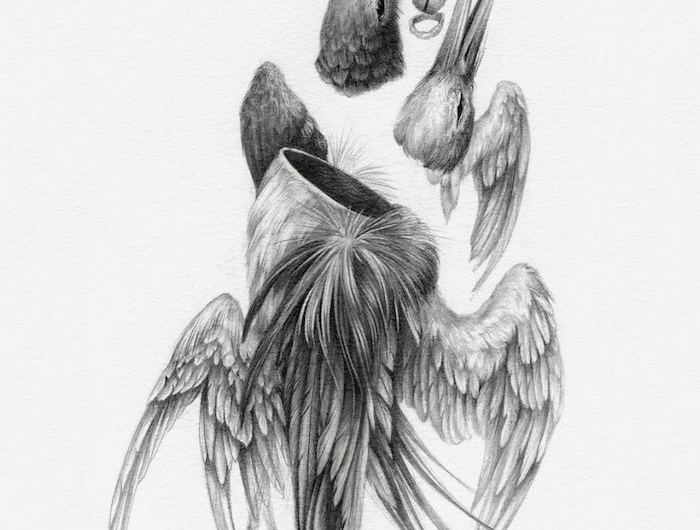 deconstruction d animal dessin fille de dos les plus beaux dessins tumblr faciles crayon noir sur papier blacn