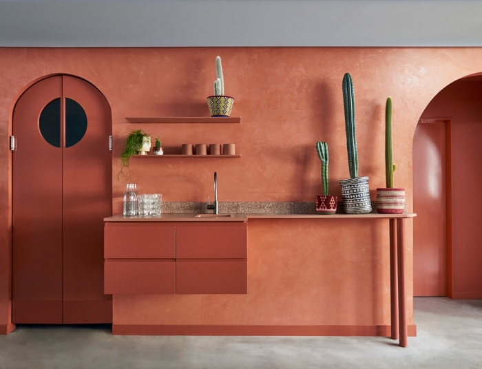 design cuisine en longueur style exotique peinture mur terracotta meubles sans poignées crédence rangement mural étagère cactus intérieur