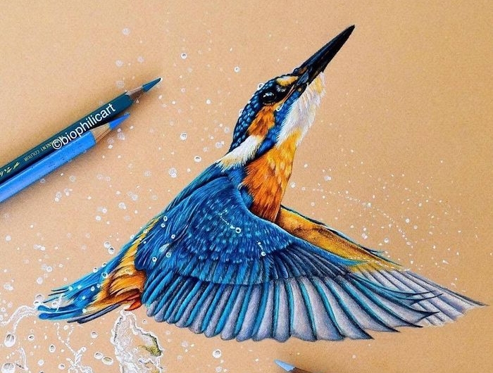 dessin facile a faire de fille tumblr dessin inspiratrice couleurs oiseau en vol pour les pros