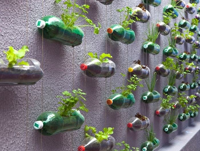 diy mur vegetal avec bouteilles en plastique bricolage materiaux recup activite manuelle decoration exterieure