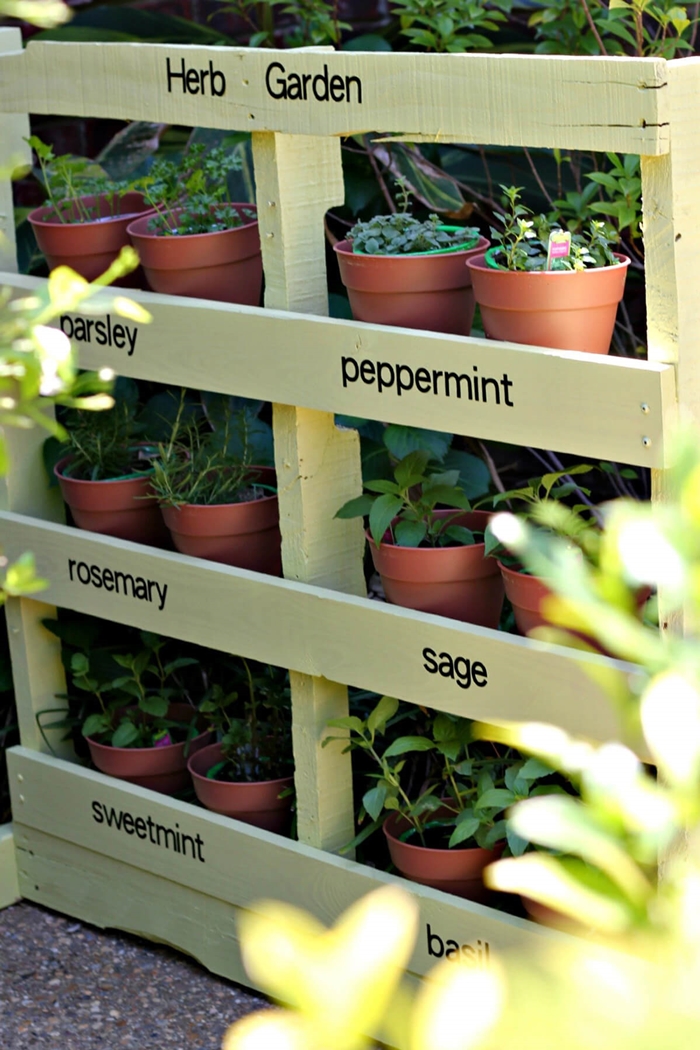 diy rangement pour plantes idée bricolage avec palettes recyclage peinture pour bois vert pâle mur végétal palette fait maison