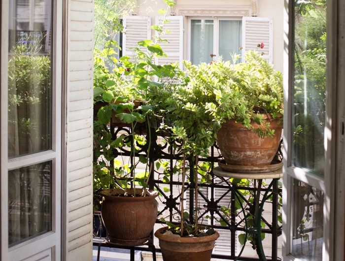 déco petit balcon avec gros pots de fleurs terre cuite plantes terrasse idée brise vue balcon avec plantes fleuries bacs fleurs